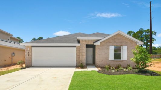 New construction Single-Family house 305 Tall Birch Dr, Hockley, TX 77447 plan Lakeway - image