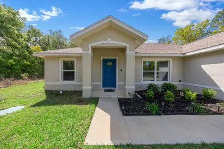 New construction Single-Family house 8 Guava Pass Trl, Ocklawaha, FL 32179 - image