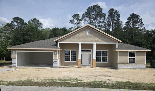 New construction Single-Family house 149 Sw Bellflower Dr, Lake City, FL 32024 - image