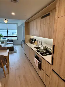 New construction Condo house 225 N Miami Ave, Unit 3406, Miami, FL 33128 - image