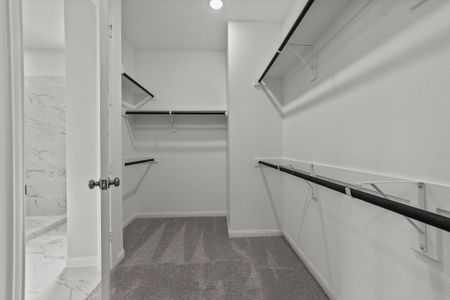 New construction Single-Family house 3404 Nobility Wy, Denton, TX 76208 plan Wheeler - image 17