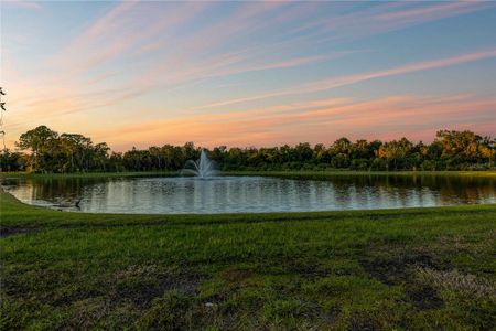 New construction Single-Family house 682 Bottlebrush Wy, Tarpon Springs, FL 34688 - image 7