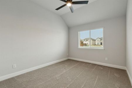 New construction Single-Family house 1309 Century Tree Ln, Anna, TX 75409 null- photo 23 23