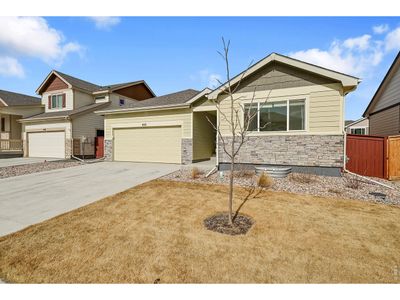 New construction Single-Family house 432 Halcyon Wy, Windsor, CO 80550 - image