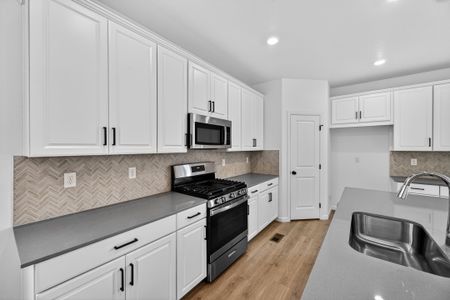 New construction Single-Family house 28405 E 4Th Ave, Watkins, CO 80137 plan Buena Vista - image 5