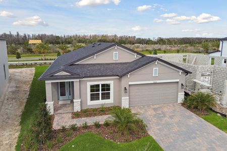 New construction Single-Family house 31229 Denham Ridge Ln, Wesley Chapel, FL 33545 Newport II- photo 165 165