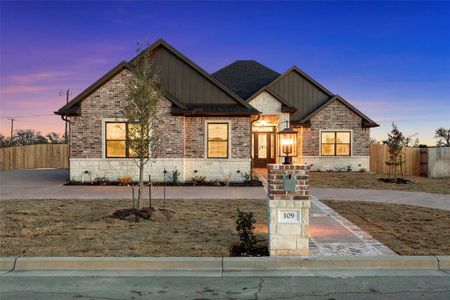 New construction Single-Family house 109 Water View Ln, Robinson, TX 76704 - image