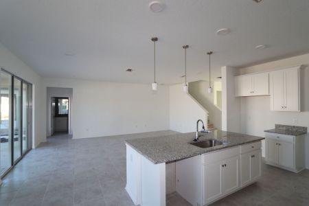 New construction Single-Family house 4877 Foxglove Cir, Lakeland, FL 33811 Alenza- photo 96 96