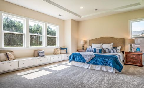 New construction Single-Family house 1041 Sage Pine Cir, Clover, SC 29710 plan Columbia - image 7
