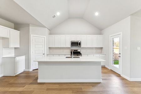 New construction Single-Family house 1098 Dewy Lake Pl, Lavon, TX 75166 plan Wimbledon | Elevon 60's - image 11