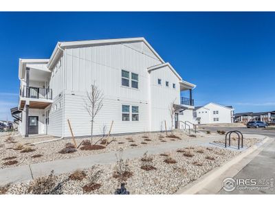 New construction Multi-Family house 2106 Falling Leaf Dr, Unit 8, Windsor, CO 80550 null- photo 1 1