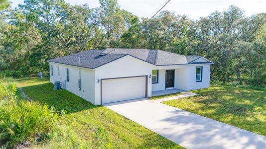 New construction Single-Family house 125 Fisher Wy, Ocklawaha, FL 32179 - image