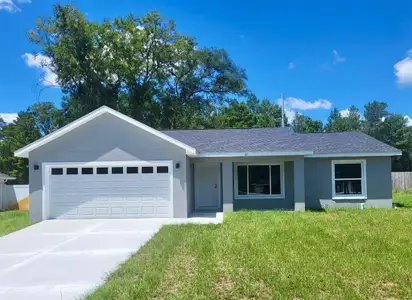 New construction Single-Family house 21 Bay Ter, Ocklawaha, FL 32179 - image