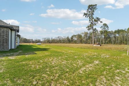 New construction Single-Family house 840 Barton Place Dr, Cleveland, TX 77327 plan Madison - image 3