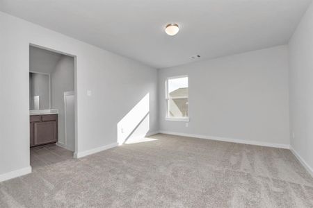 New construction Single-Family house 18207 Walnut Canopy Wy, Tomball, TX 77377 Plan 265- photo 22 22