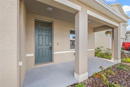 New construction Single-Family house 17249 Wheatberry Blvd, Parrish, FL 34219 Hayden- photo 4 4