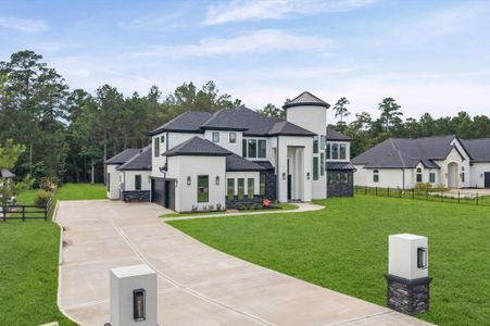 New construction Single-Family house 18556 Michaels Run, Montgomery, TX 77316 - image