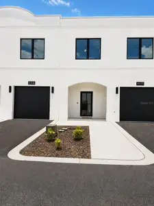 New construction Townhouse house 4341 Cambio Gardens Ct, Tampa, FL 33610 - image