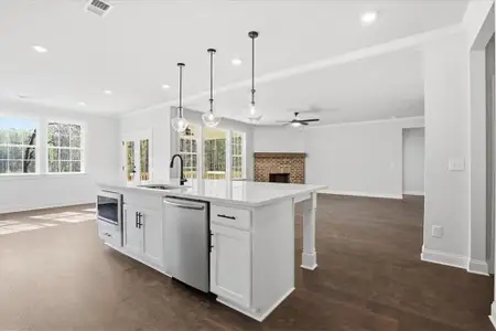 New construction Single-Family house 2032 Seclusion Trl, Monroe, GA 30656 - image 19