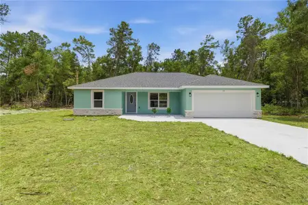 New construction Single-Family house 10 Bay Ln, Ocklawaha, FL 32179 - image