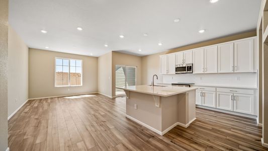 New construction Single-Family house 5012 N Tempe St, Aurora, CO 80019 plan Burano - image 5