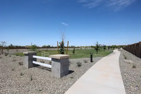 New construction Single-Family house 823 W Riparian Dr, San Tan Valley, AZ 85140 plan Azure - image