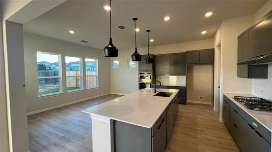 New construction Single-Family house 314 Sage Thrasher Cir, Dripping Springs, TX 78620 Santa Rosa- photo 11 11