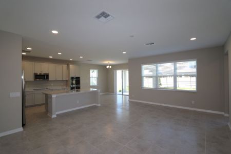 New construction Single-Family house 9489 Seagrass Port Pass, Wesley Chapel, FL 33545 Alenza- photo 66 66