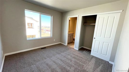 New construction Duplex house 302 Scaup Ln, Johnstown, CO 80534 Denali- photo 10 10