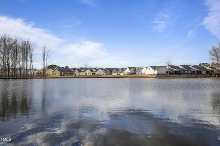 New construction Single-Family house 88 Molly Mac Ln, Angier, NC 27501 null- photo 43 43