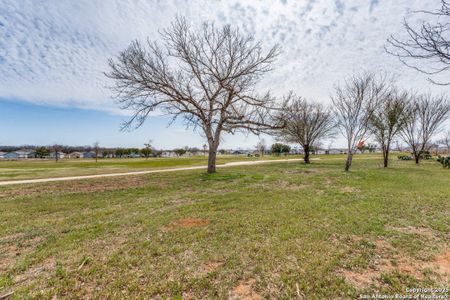 New construction Single-Family house 13214 Dutra Rd, San Antonio, TX 78221 Collier- photo 16 16