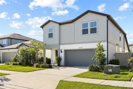 New construction Single-Family house 20770 Balsam Hill Rd, Land O' Lakes, FL 34638 - image