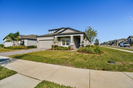 New construction Single-Family house 38471 Barrel Dr, Dade City, FL 33525 Picasso Bonus- photo 85 85