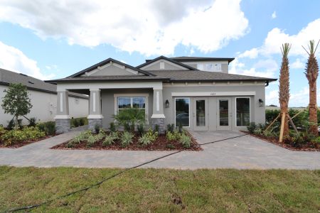 New construction Single-Family house 11855 Hilltop Farms Dr, Dade City, FL 33525 Picasso Bonus- photo 0