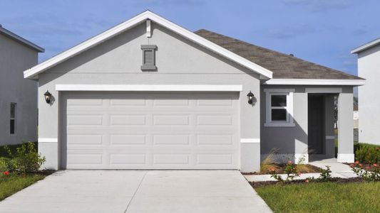 New construction Single-Family house 10972 Gentle Current Wy, Parrish, FL 34219 plan Allex - image