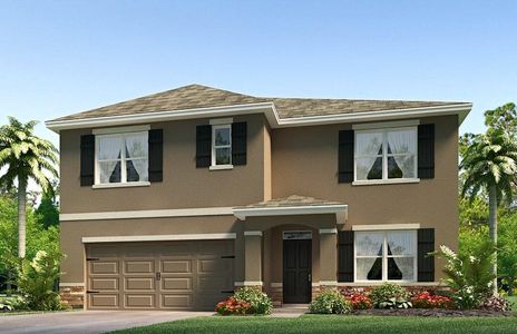 New construction Single-Family house 3503 Thistle Bank Ct, Plant City, FL 33565 Hayden- photo 0