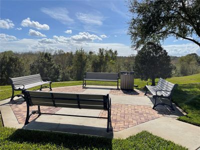 New construction Single-Family house 2296 Sirena Ln, Mount Dora, FL 32757 null- photo 6 6