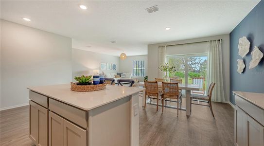 New construction Single-Family house 13258 Sassafras Trl, Parrish, FL 34219 - image 6