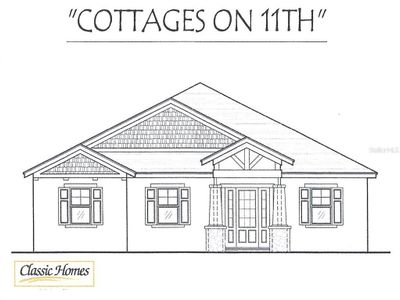 New construction Single-Family house 671 James Moore Drive, Mount Dora, FL 32757 - photo 0