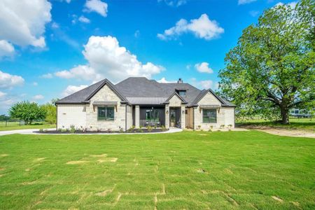 New construction Single-Family house 1000 Henry Way Rd, Springtown, TX 76082 - image