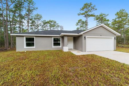 New construction Single-Family house 89 Malauka Pass Crse, Ocklawaha, FL 32179 null- photo 0