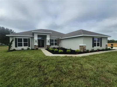 New construction Single-Family house 36951 Hidden View Cir, Dade City, FL 33523 - image