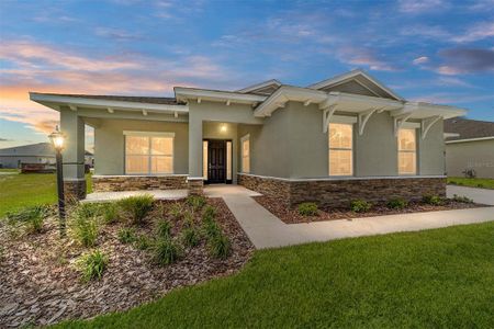 New construction Single-Family house 10079 Sw 106Th Cir, Ocala, FL 34481 plan Magnolia - image