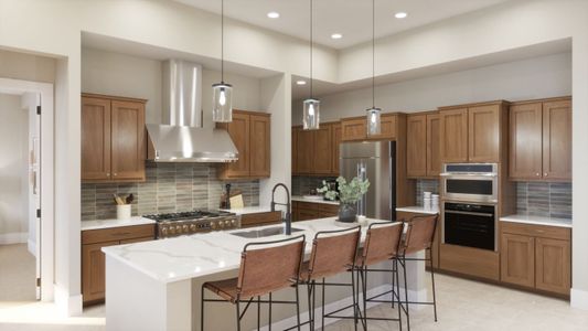 New construction Single-Family house 11139 Rio Bravo Rd, Gold Canyon, AZ 85118 plan 1022 - image 8