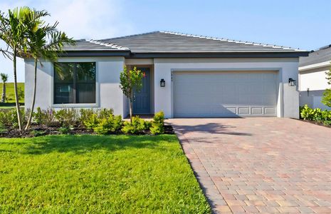 New construction Single-Family house 3849 Passion Vine Dr, Alva, FL 33920 - image