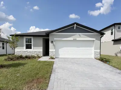 New construction Single-Family house 26053 Olive Rose Wy, Groveland, FL 34736 plan Daphne - image