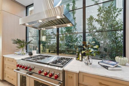 New construction Single-Family house 3330 Floral Mews, Frisco, TX 75033 - image 7