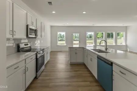 New construction Single-Family house 243 Spirit Springs Rd, Smithfield, NC 27577 - image 4