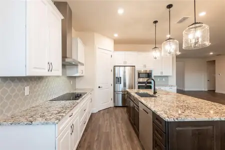 New construction Single-Family house 8749 Drummer Plank Dr, Wesley Chapel, FL 33545 - image 4