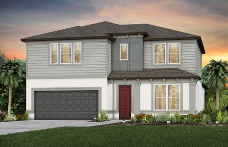 New construction Single-Family house 20876 Drake Elm Dr, Land O' Lakes, FL 34638 null- photo 0